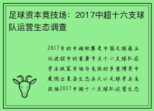 足球资本竞技场：2017中超十六支球队运营生态调查